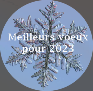 Voeux pour 2023 | Association IDEE